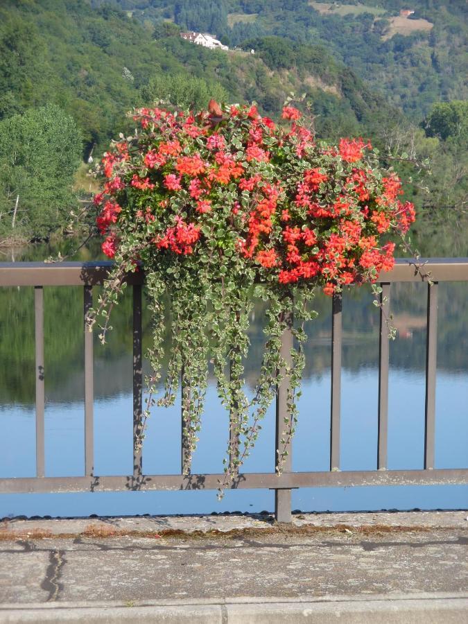 Le Pont De Livinhac Otel Decazeville Dış mekan fotoğraf